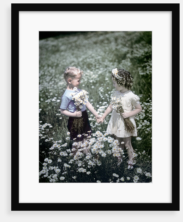 1940s 1950s Boy Girl Picking Daisies In Field Of Flowers by Anonymous