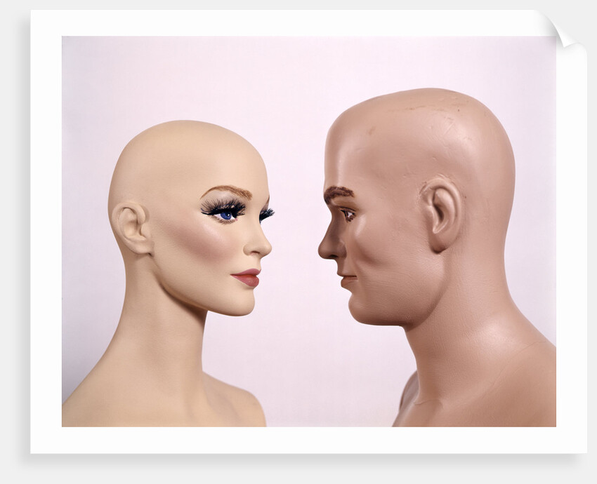 Couple Man Woman Male Female Bald Mannequin Dummy Model by Anonymous