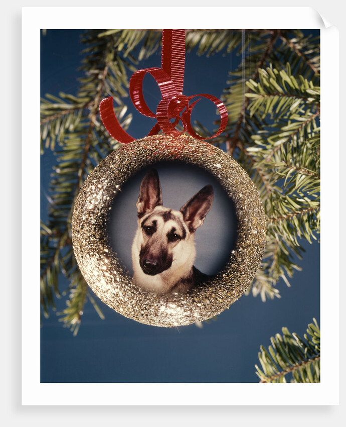 1960s 1970s Picture German Shepherd Dog On Christmas Tree Ornament by Anonymous