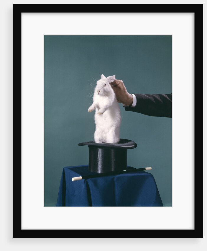 White Rabbit Being Pulled Out Of Silk Top Hat By Hand Of Magician by Anonymous