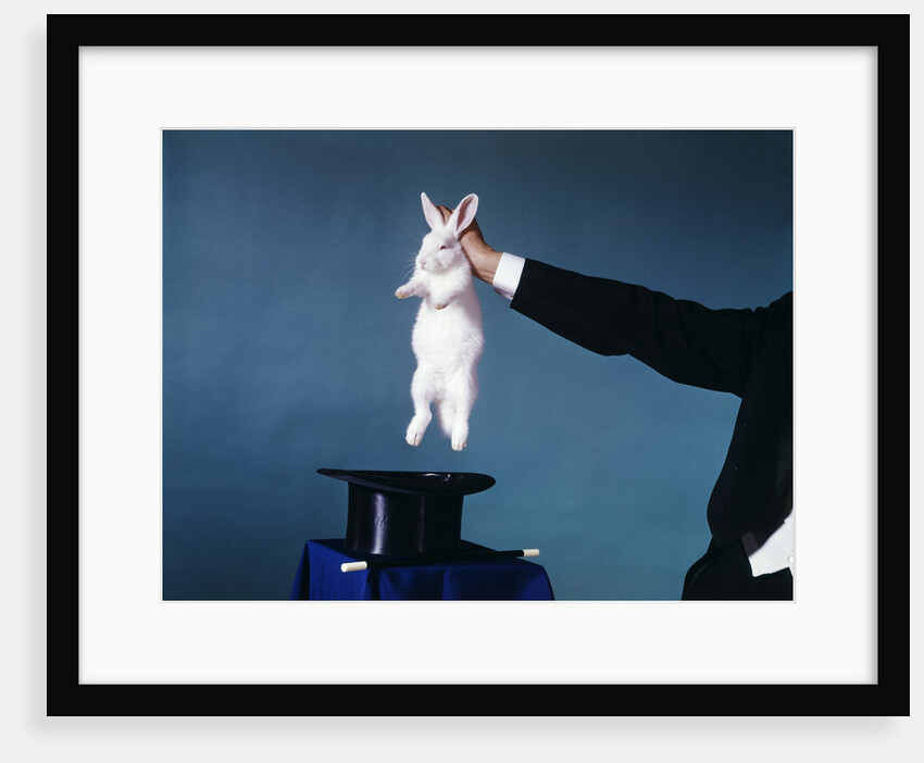 Hand Of Magician Pulling White Rabbit Out Of Black Silk Top Hat by Anonymous