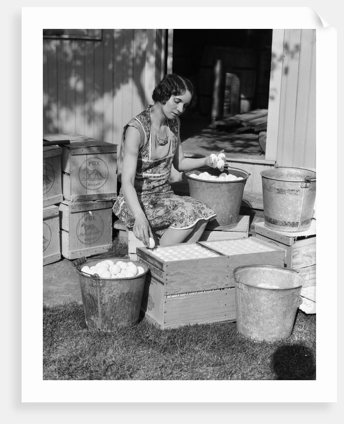 1930s Woman Farm Wife Sitting Outside Of Hen House Doorway Putting Eggs From Pails Into Shipping Crates by Anonymous