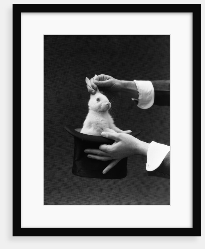 1930s Magician Hands Pulling Rabbit Out Of Top Hat by Anonymous