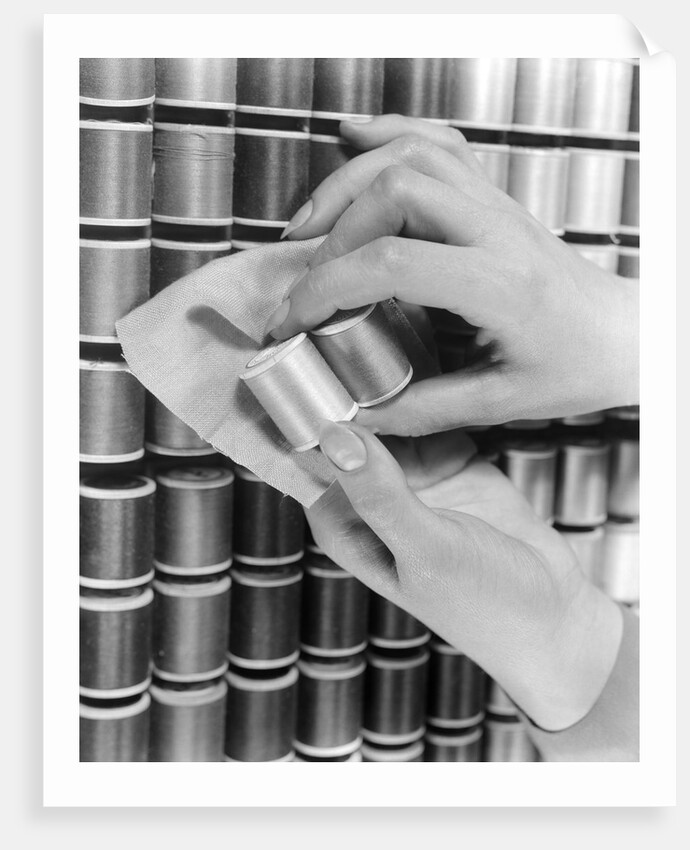 1940s Hand Woman Matching Spool Of Thread To Swatch Of Material by Anonymous