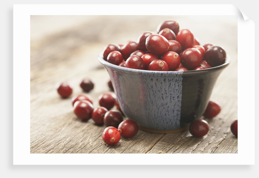 Bowl of cranberries by Anonymous