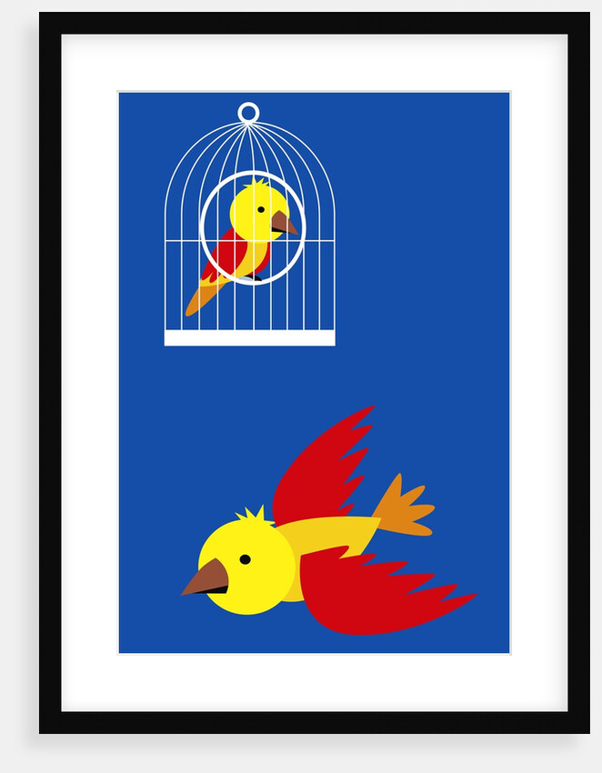 bird in cage, flying bird by Anonymous