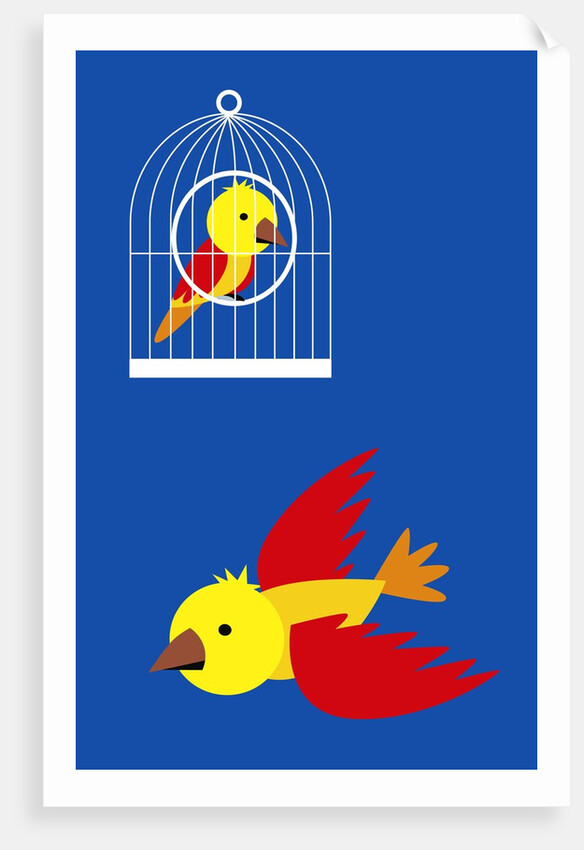 bird in cage, flying bird by Anonymous