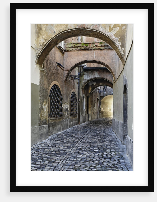 Cobblestone Streets in Ljubljana by Anonymous