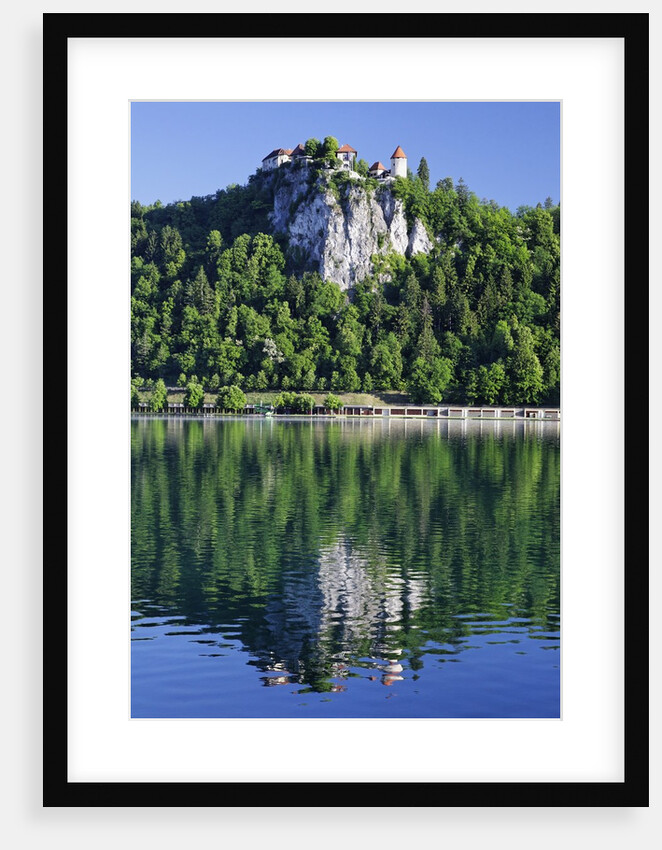 Picturesque Castle Above Lake Bled by Anonymous