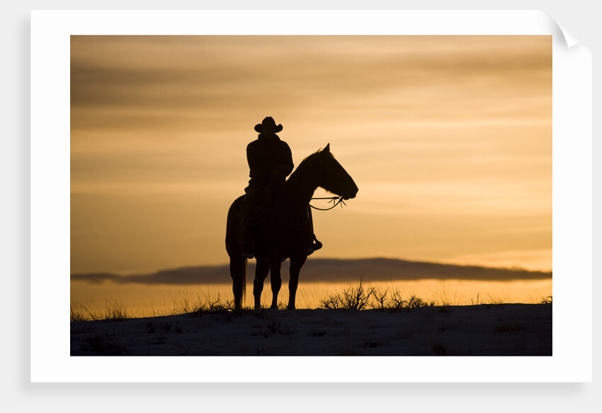Cowboy at Sunset by Anonymous