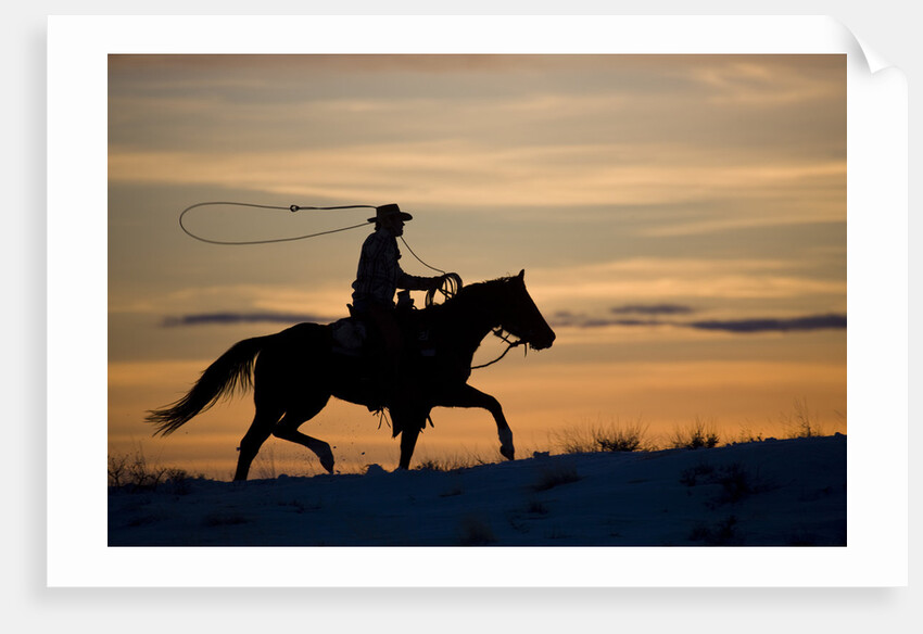 Silhouette of Cowboy in Wyoming by Anonymous