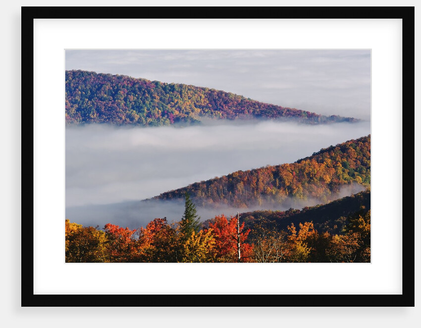 Fog Over Appalachian Mountains in Autumn by Anonymous