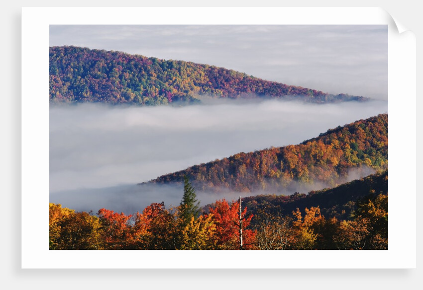 Fog Over Appalachian Mountains in Autumn by Anonymous