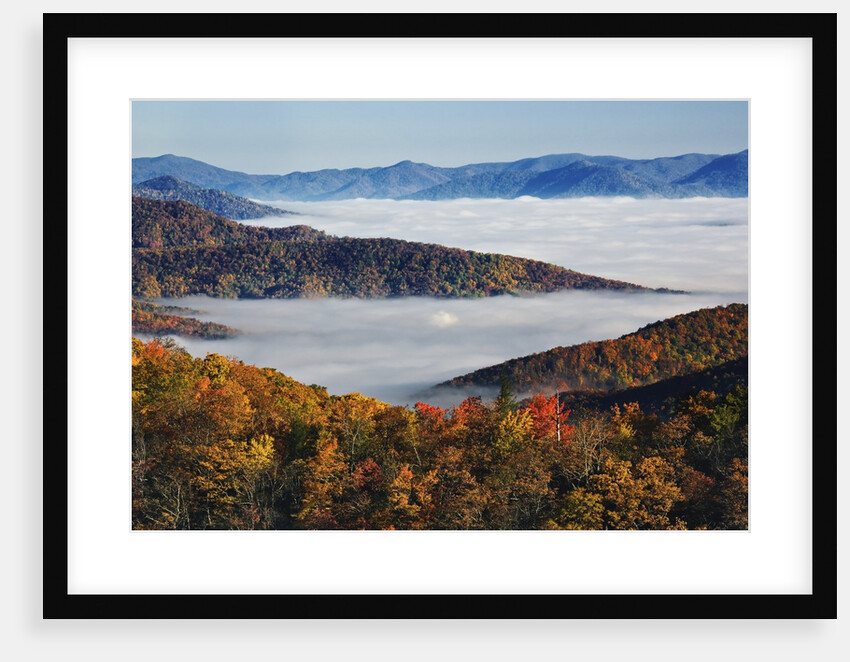 Fog Over Appalachian Mountains in Autumn by Anonymous