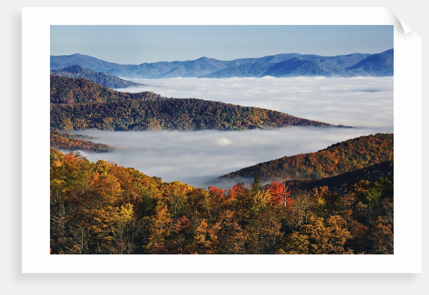 Fog Over Appalachian Mountains in Autumn by Anonymous