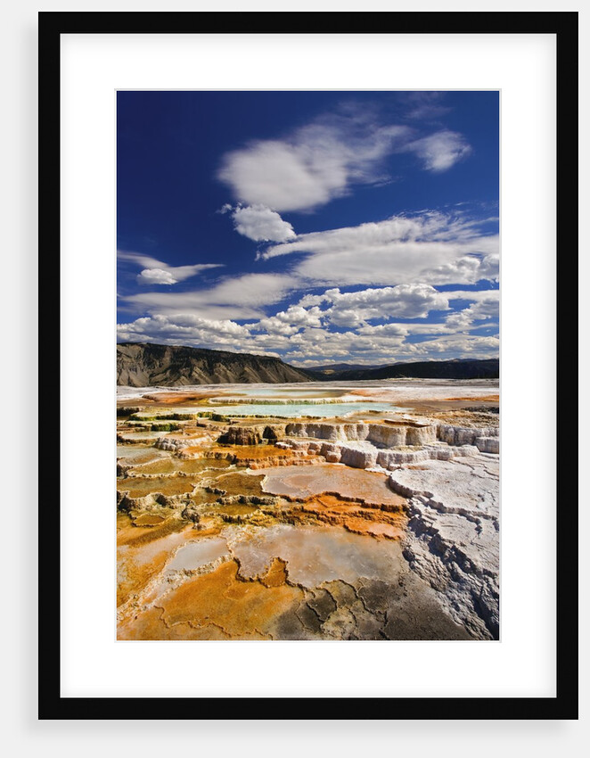 Colorful Terraces atop Mammoth Hot Springs by Anonymous
