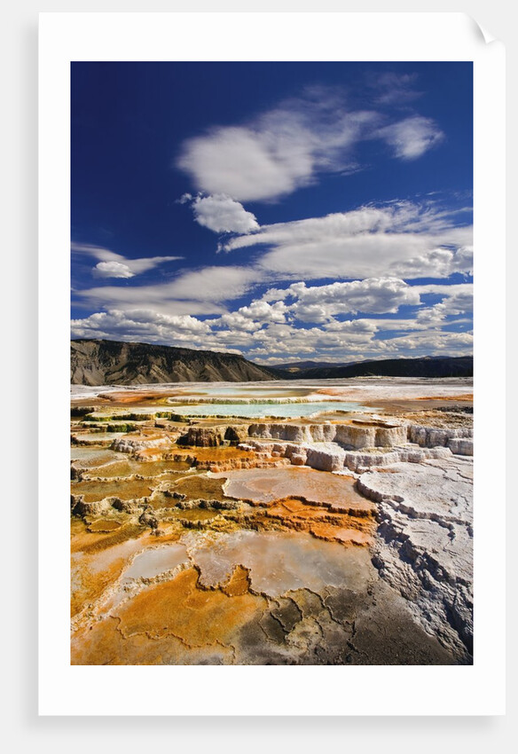 Colorful Terraces atop Mammoth Hot Springs by Anonymous