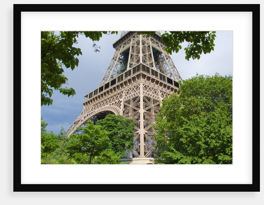 Eiffel Tower and Trees by Anonymous