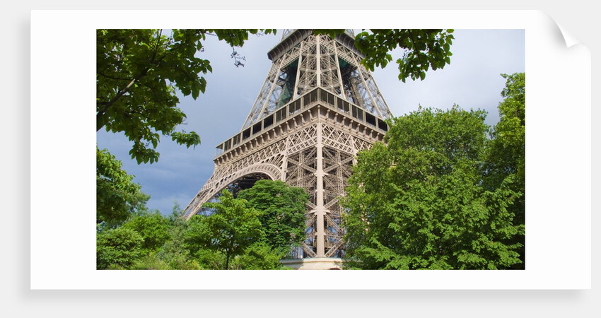 Eiffel Tower and Trees by Anonymous