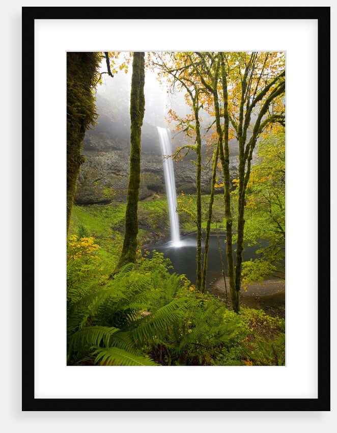Waterfall by Anonymous
