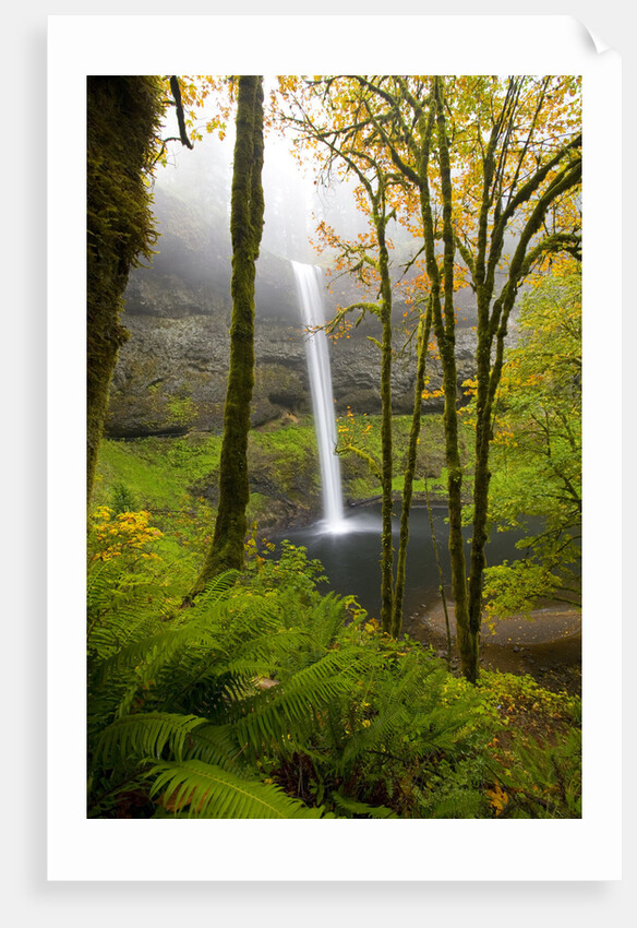 Waterfall by Anonymous