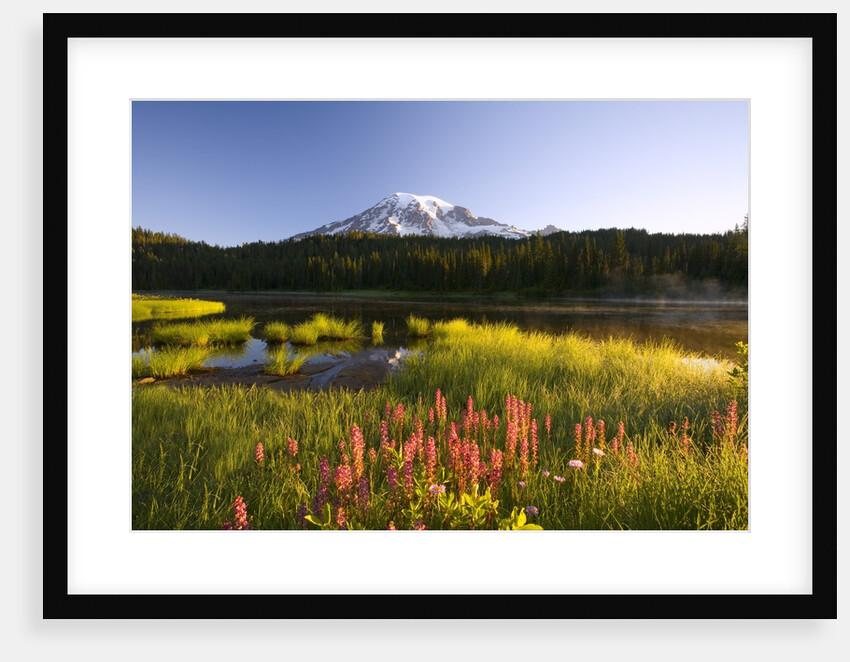 Mount Rainier National Park by Anonymous