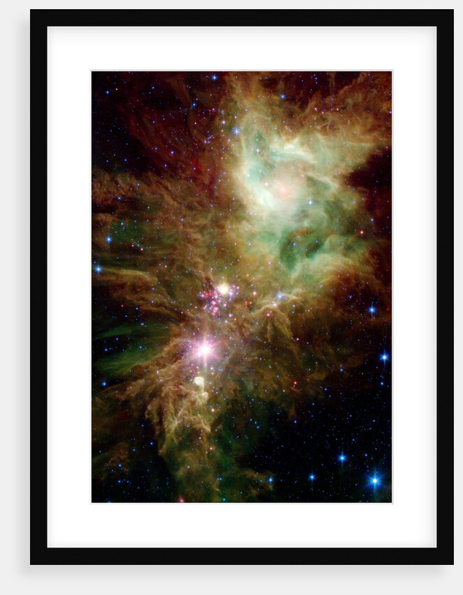 Section of the Christmas Tree Cluster by Anonymous