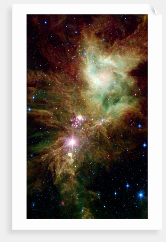 Section of the Christmas Tree Cluster by Anonymous