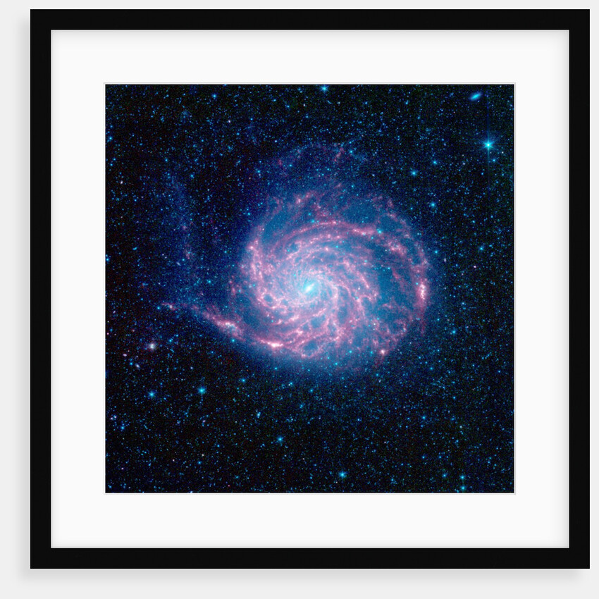 Pinwheel Galaxy by Anonymous