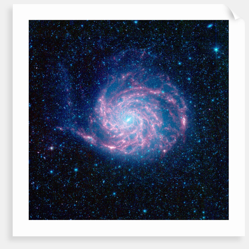 Pinwheel Galaxy by Anonymous