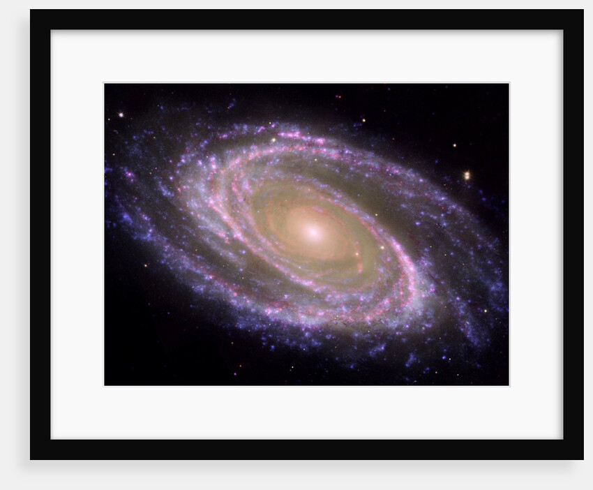 M 81 spiral galaxy in Ursa Major by Anonymous