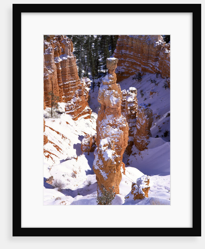 Thor's Hammer Hoodoo in Bryce Canyon National Park by Anonymous