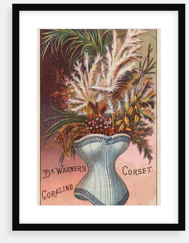 Dr. Warner's Coraline Corset Trade Card by Anonymous