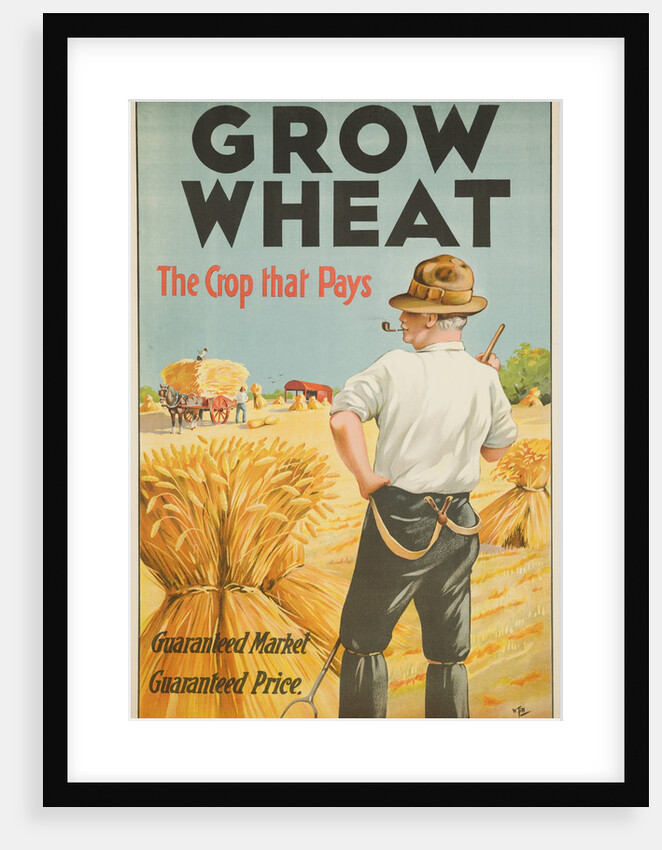 Grow Wheat the Crop That Pays Poster by Till