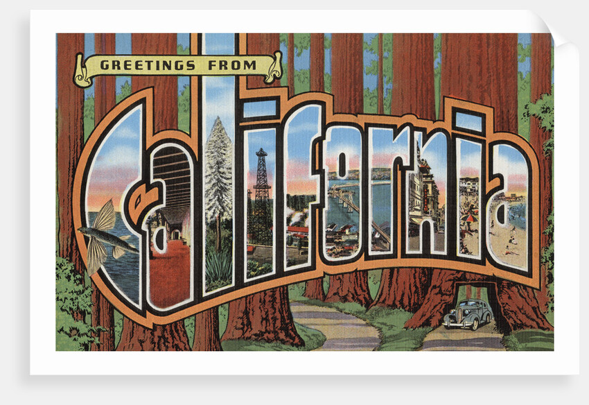 Greetings from California Postcard by Anonymous