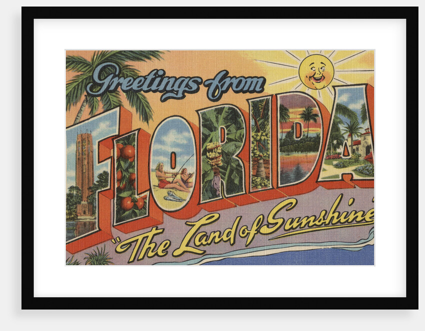 Greetings from Florida Postcard by Anonymous