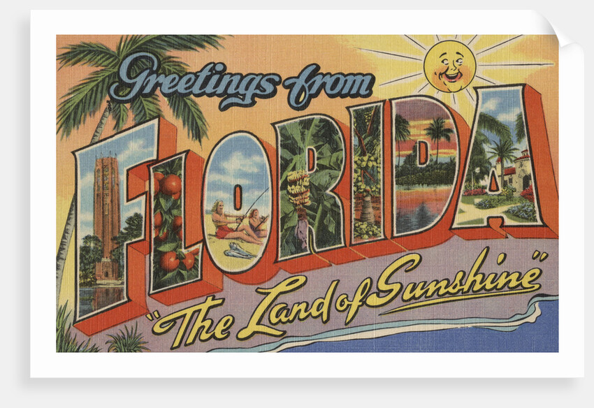Greetings from Florida Postcard by Anonymous