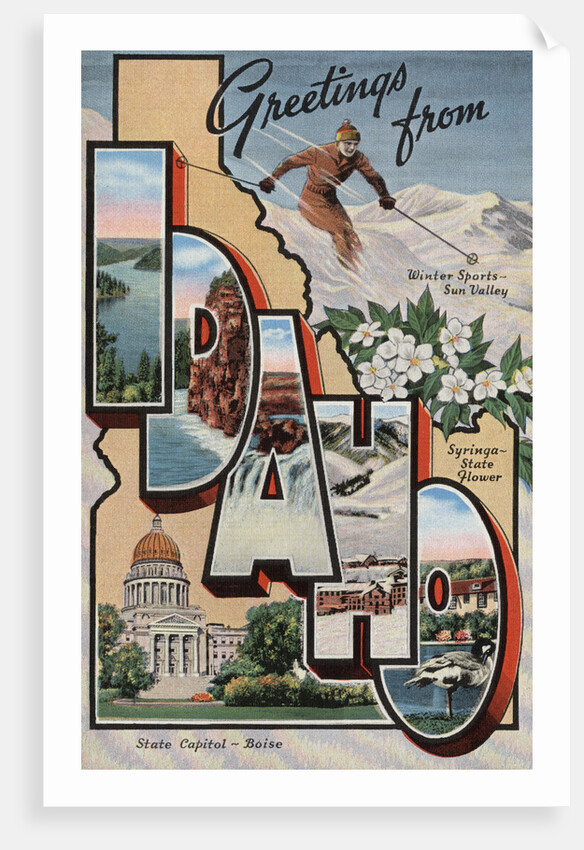 Greetings from Idaho Postcard by Anonymous