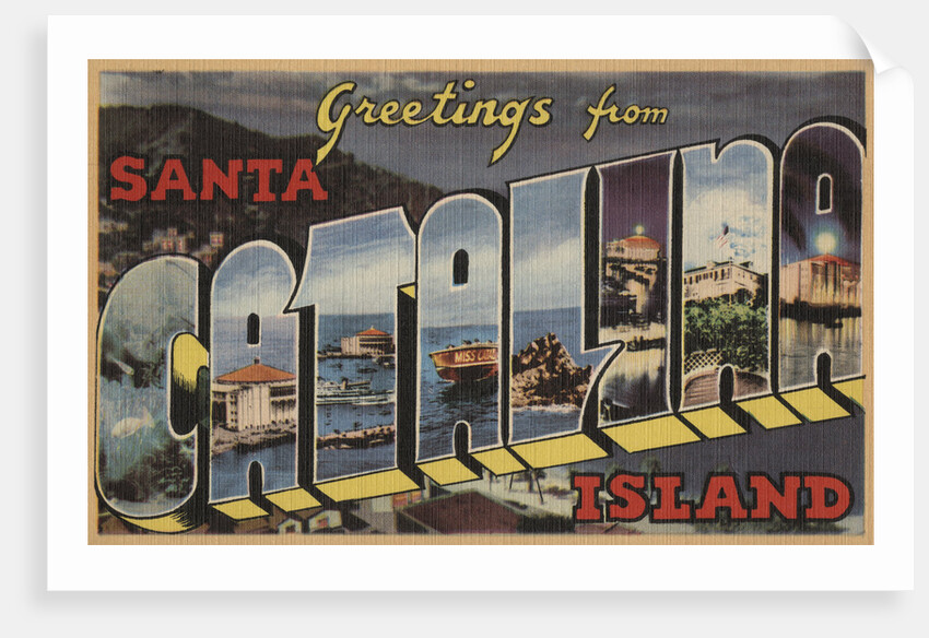 Greetings from Santa Catalina Island Postcard by Anonymous
