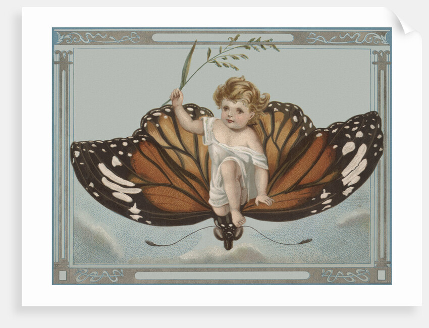 Postcard of Child Riding on Butterfly by Anonymous