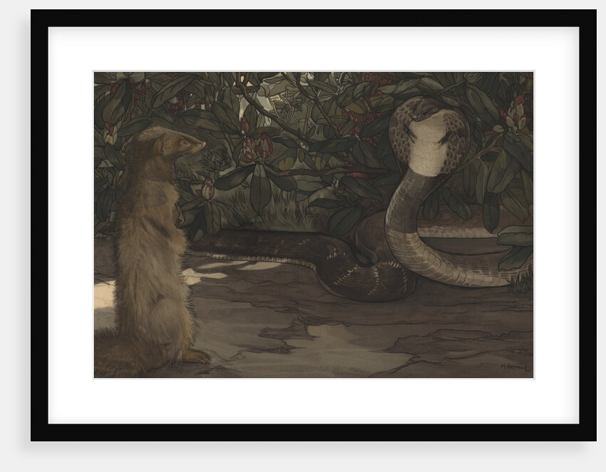 Rikki-Tikki by Charles Maurice Detmold