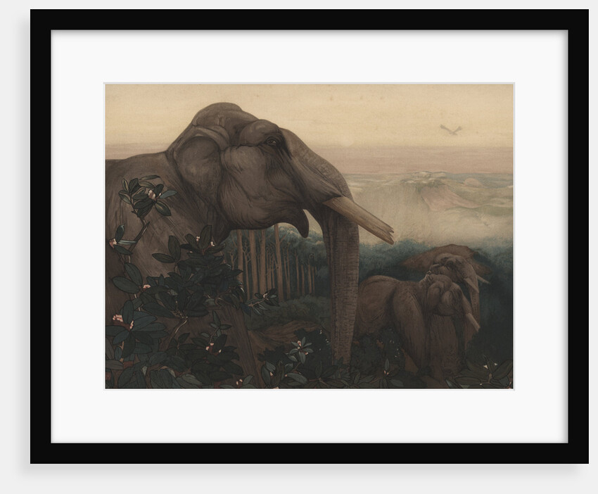 Toomai of the Elephants by Edward Julius Detmold