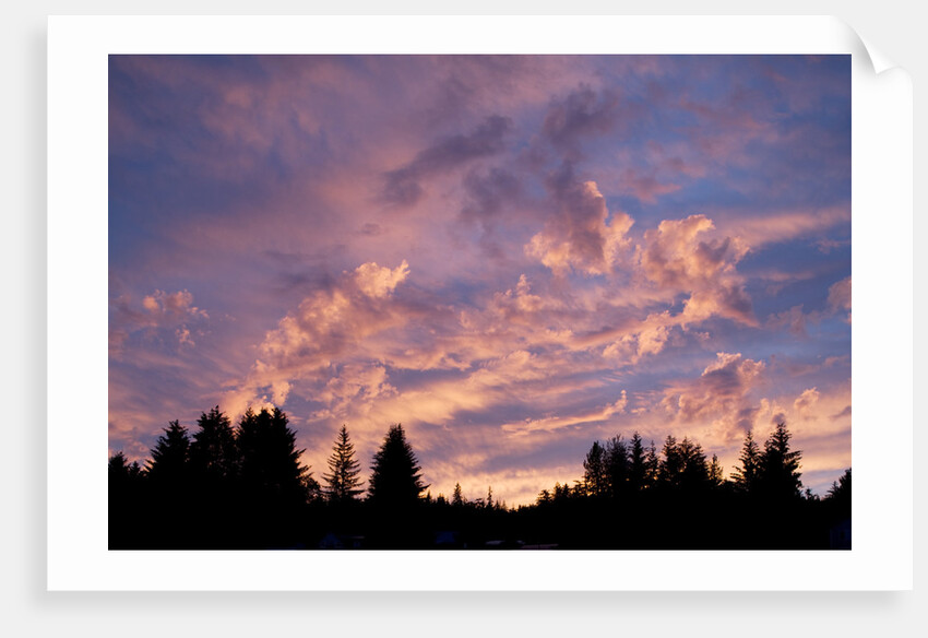 Sunset Over Auke Bay in Alaska by Anonymous