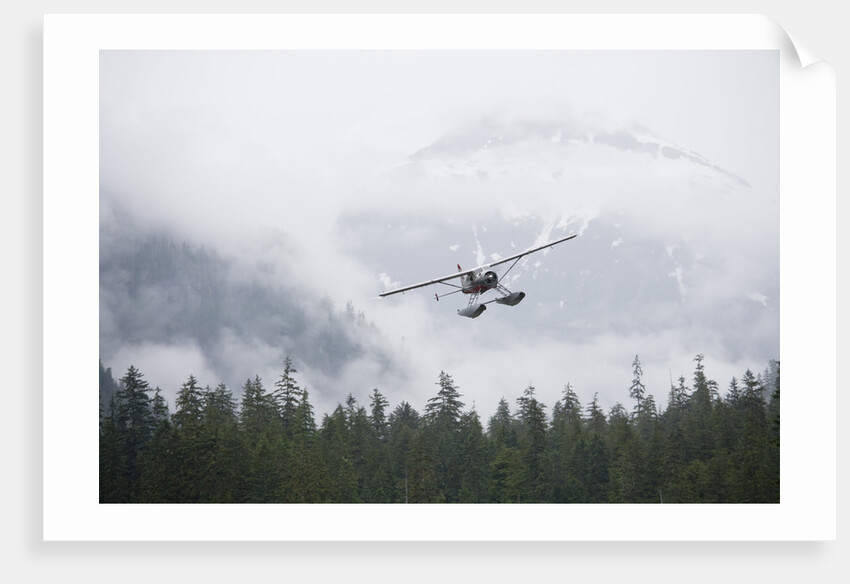 Floatplane above Rainforest in Misty Fjords National Monument by Anonymous