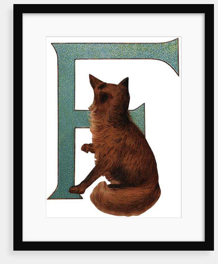 F Is For Fox Illustration by Anonymous