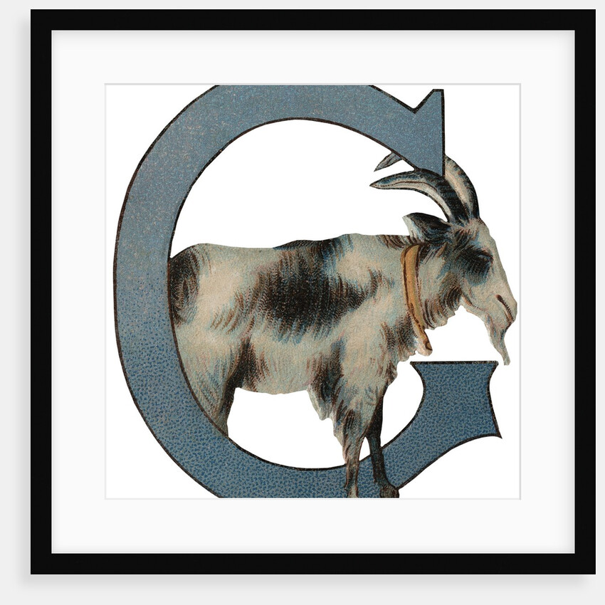 G Is For Goat Illustration by Anonymous