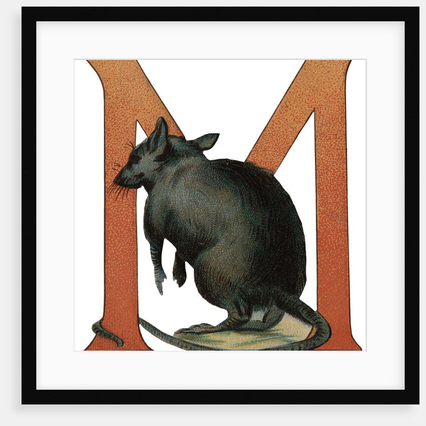 M Is For Mouse Illustration by Anonymous
