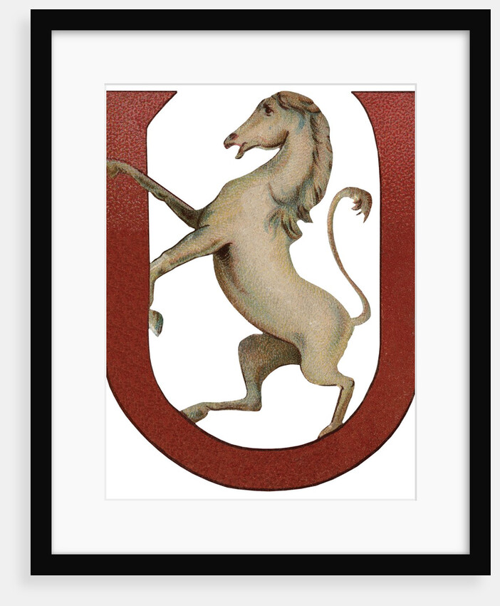 U Is For Unicorn Illustration by Anonymous