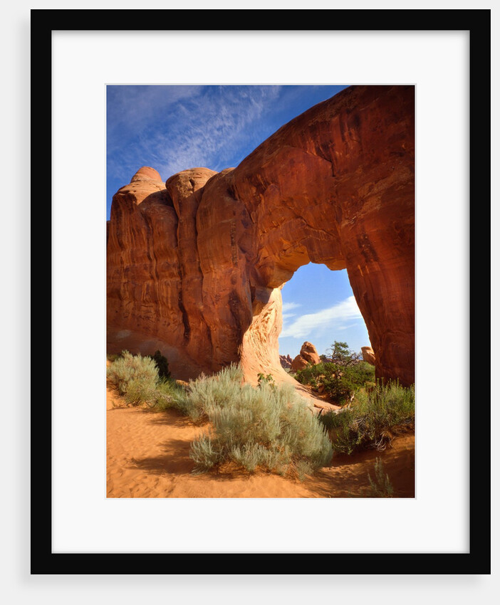 Pine Tree Arch in Arches National Park by Anonymous