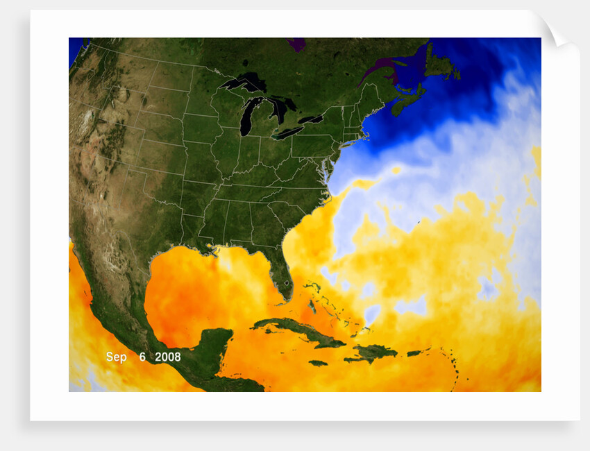 Sea Surface Temperature Map by Anonymous